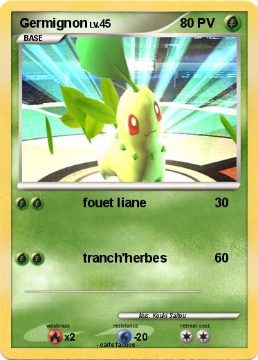 Pokemon Germignon