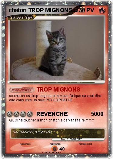 Pokemon chaton TROP MIGNONS
