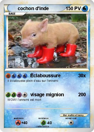 Pokemon cochon d'inde