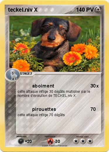 Pokemon teckel.niv X
