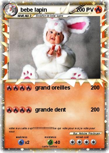 Pokemon bebe lapin