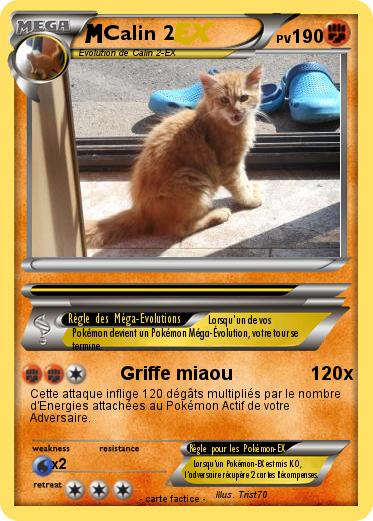 Pokemon Calin 2