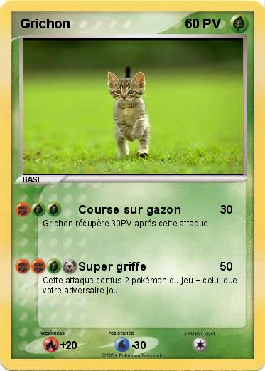 Pokemon Grichon