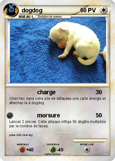 Pokemon dogdog