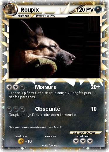Pokemon Roupix