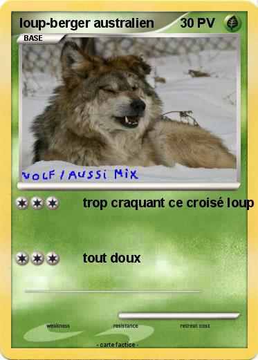 Pokemon loup-berger australien