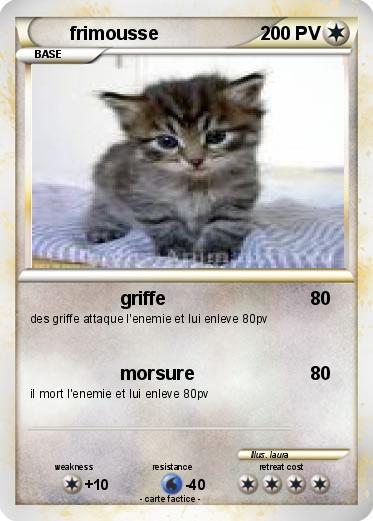Pokemon frimousse