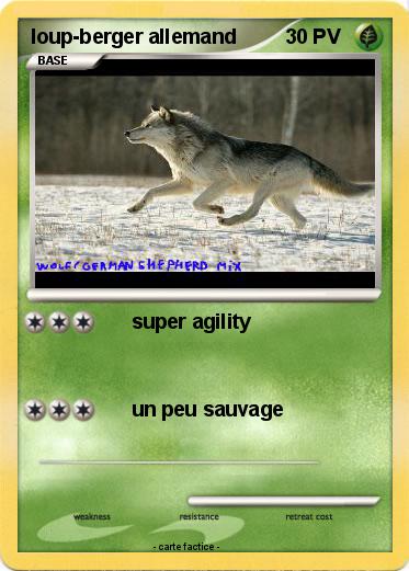 Pokemon loup-berger allemand
