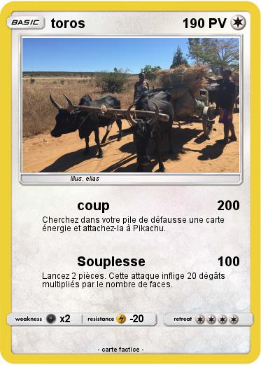 Pokemon toros