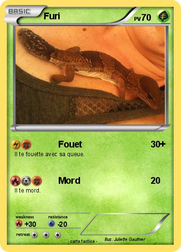 Pokemon Furi