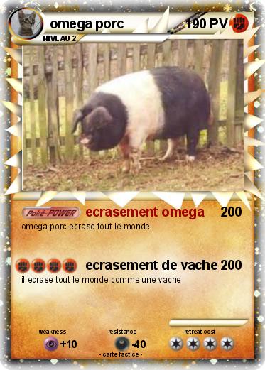 Pokemon omega porc