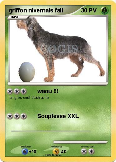Pokemon griffon nivernais fail