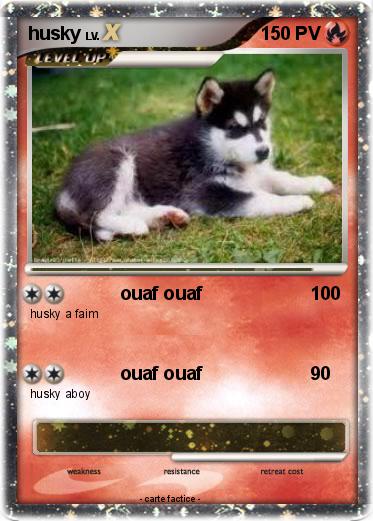 Pokemon husky