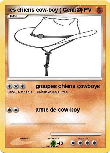Pokemon les chiens cow-boy ( Genba )