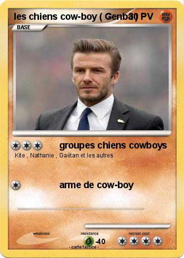 Pokemon les chiens cow-boy ( Genba )