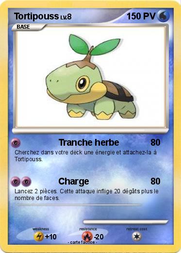 Pokemon Tortipouss