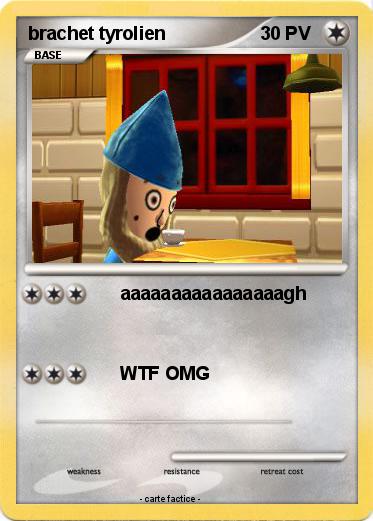 Pokemon brachet tyrolien