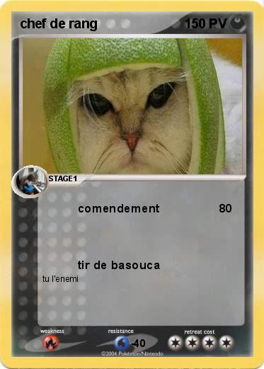 Pokemon chef de rang