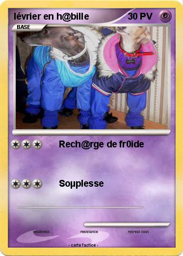 Pokemon lévrier en h@bille