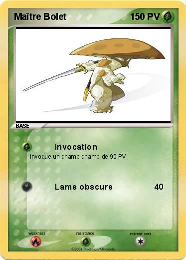 Pokemon Maître Bolet