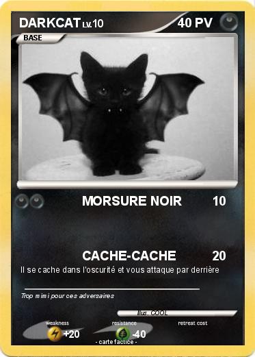 Pokemon DARKCAT