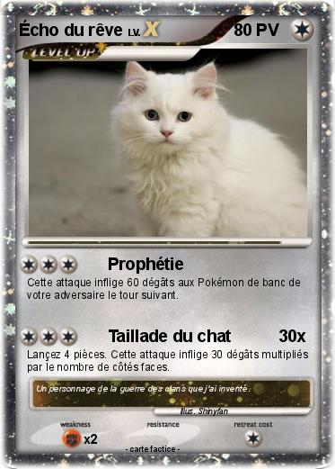 Pokemon Écho du rêve