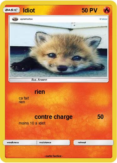 Pokemon Idiot