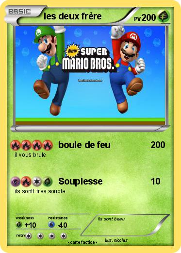 Pokemon les deux frère