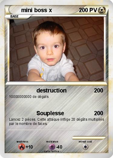 Pokemon mini boss x