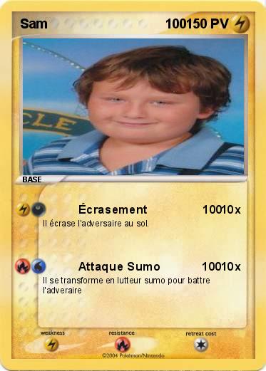 Pokemon Sam                                100