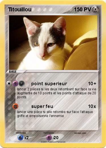 Pokemon Titouillou
