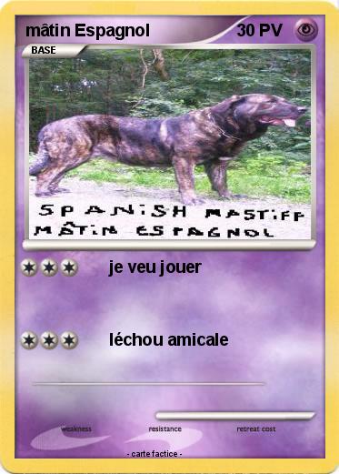 Pokemon mâtin Espagnol