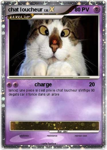 Pokemon chat loucheur