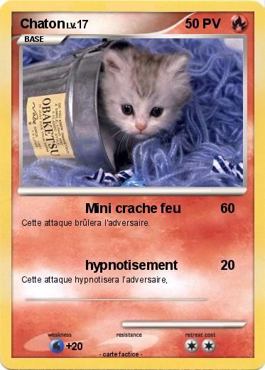 Pokemon Chaton