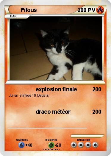 Pokemon Filous