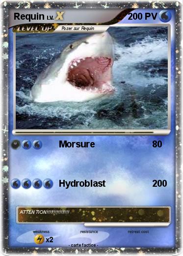 Pokemon Requin
