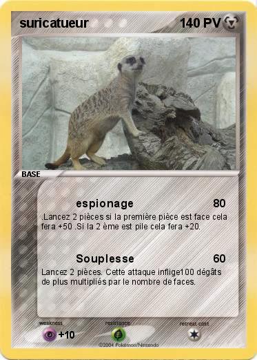 Pokemon suricatueur