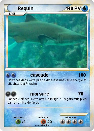 Pokemon Requin