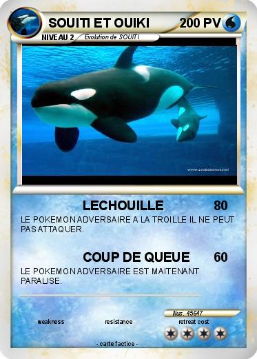 Pokemon SOUITI ET OUIKI