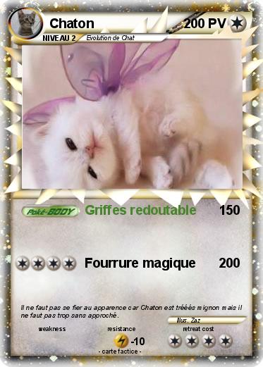 Pokemon Chaton