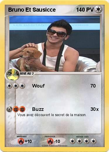 Pokemon Bruno Et Sausicce