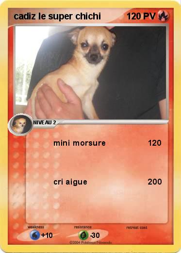 Pokemon cadiz le super chichi