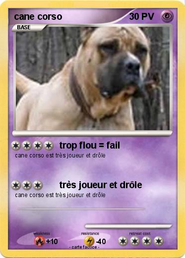 Pokemon cane corso