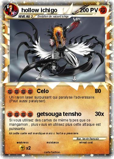 Pokemon hollow ichigo