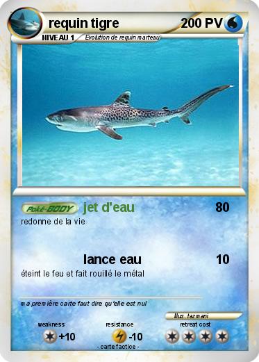 Pokemon requin tigre