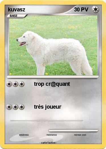 Pokemon kuvasz