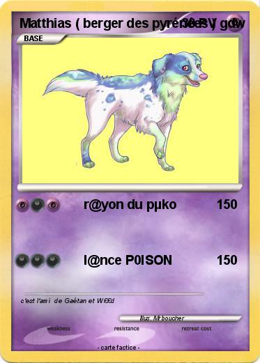 Pokemon Matthias ( berger des pyrénées ) gdw