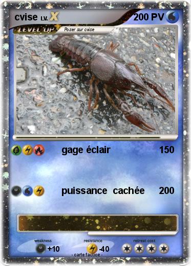 Pokemon cvise