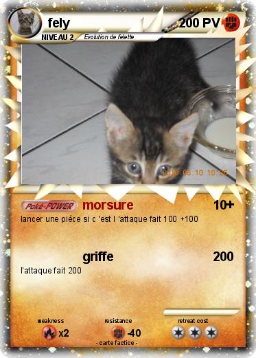 Pokemon fely