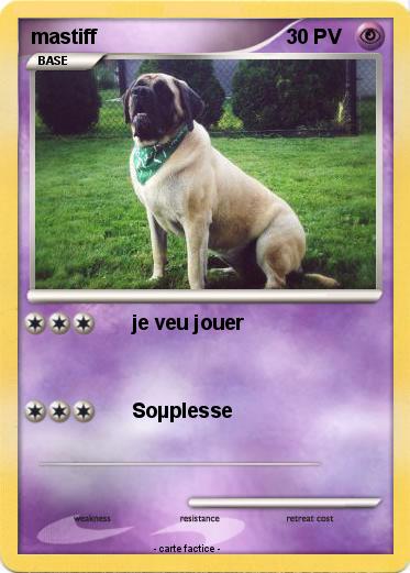 Pokemon mastiff